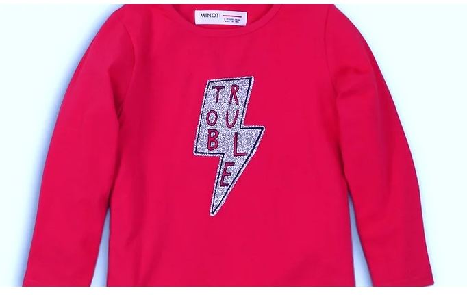 Long Sleeved  Pink Trouble  Top